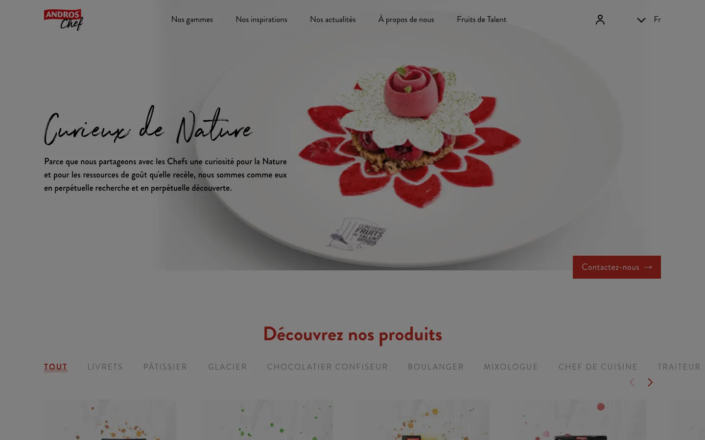 Capture d'écran du site de Andros Chef